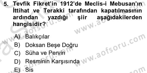 2. Abdülhamit Dönemi Türk Edebiyatı Dersi 2016 - 2017 Yılı (Vize) Ara Sınav Soruları 5. Soru