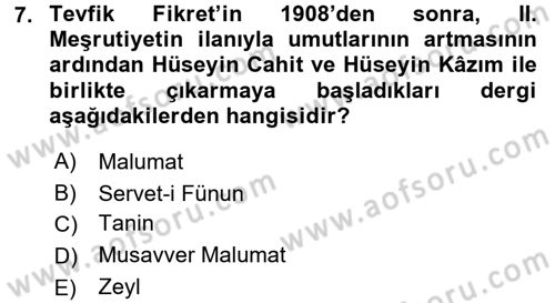 2. Abdülhamit Dönemi Türk Edebiyatı Dersi 2016 - 2017 Yılı (Vize) Ara Sınav Soruları 7. Soru