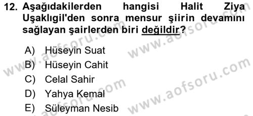 2. Abdülhamit Dönemi Türk Edebiyatı Dersi 2016 - 2017 Yılı (Final) Dönem Sonu Sınav Soruları 12. Soru