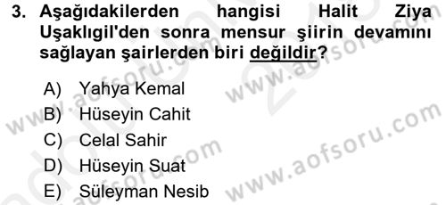 2. Abdülhamit Dönemi Türk Edebiyatı Dersi 2017 - 2018 Yılı 3 Ders Sınavı 3. Soru