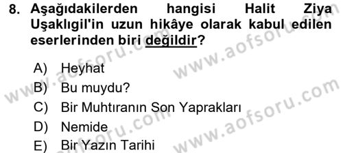 2. Abdülhamit Dönemi Türk Edebiyatı Dersi 2017 - 2018 Yılı (Vize) Ara Sınavı 8. Soru