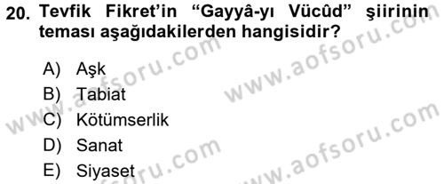 2. Abdülhamit Dönemi Türk Edebiyatı Dersi 2017 - 2018 Yılı (Final) Dönem Sonu Sınav Soruları 20. Soru