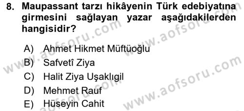 2. Abdülhamit Dönemi Türk Edebiyatı Dersi 2017 - 2018 Yılı (Final) Dönem Sonu Sınavı 8. Soru