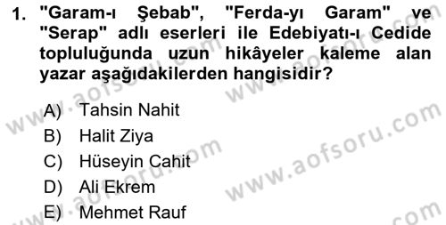 2. Abdülhamit Dönemi Türk Edebiyatı Dersi 2018 - 2019 Yılı (Vize) Ara Sınavı 1. Soru