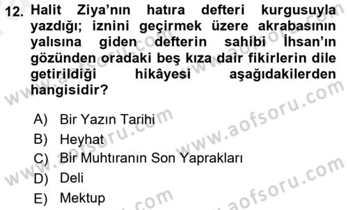 2. Abdülhamit Dönemi Türk Edebiyatı Dersi 2018 - 2019 Yılı (Vize) Ara Sınavı 12. Soru