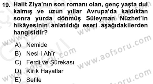 2. Abdülhamit Dönemi Türk Edebiyatı Dersi 2018 - 2019 Yılı (Vize) Ara Sınavı 19. Soru