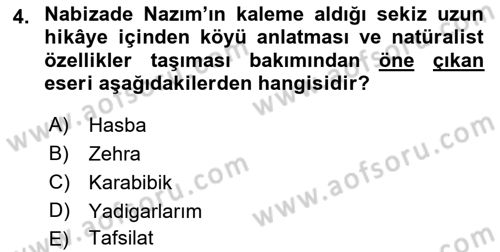 2. Abdülhamit Dönemi Türk Edebiyatı Dersi 2018 - 2019 Yılı (Vize) Ara Sınavı 4. Soru