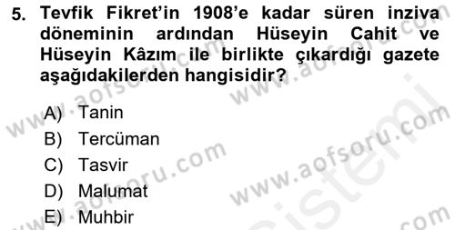 2. Abdülhamit Dönemi Türk Edebiyatı Dersi 2018 - 2019 Yılı (Vize) Ara Sınavı 5. Soru