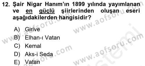 2. Abdülhamit Dönemi Türk Edebiyatı Dersi 2018 - 2019 Yılı (Final) Dönem Sonu Sınavı 12. Soru