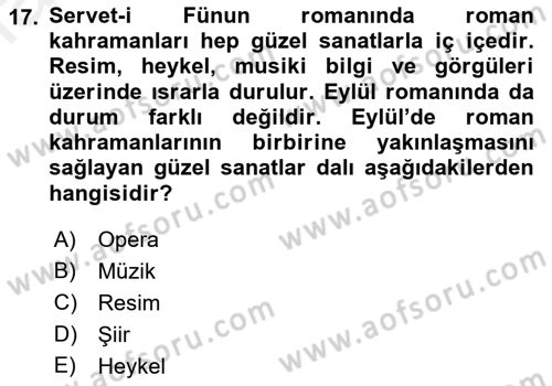 2. Abdülhamit Dönemi Türk Edebiyatı Dersi 2018 - 2019 Yılı (Final) Dönem Sonu Sınavı 17. Soru