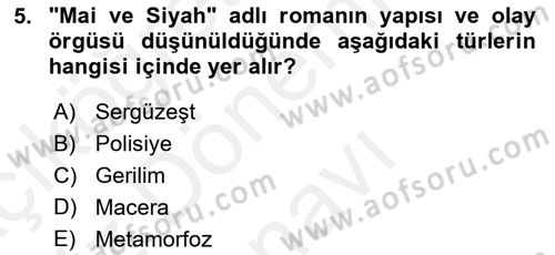 2. Abdülhamit Dönemi Türk Edebiyatı Dersi 2018 - 2019 Yılı (Final) Dönem Sonu Sınavı 5. Soru