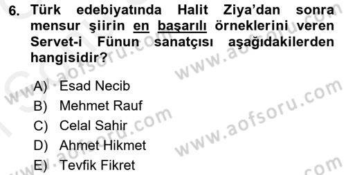 2. Abdülhamit Dönemi Türk Edebiyatı Dersi 2018 - 2019 Yılı (Final) Dönem Sonu Sınavı 6. Soru