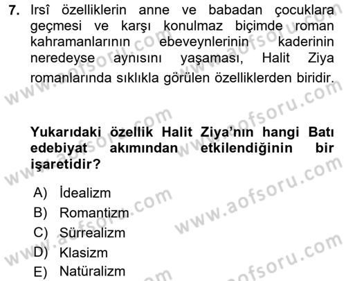 2. Abdülhamit Dönemi Türk Edebiyatı Dersi 2018 - 2019 Yılı (Final) Dönem Sonu Sınavı 7. Soru