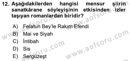 2. Abdülhamit Dönemi Türk Edebiyatı Dersi 2018 - 2019 Yılı Yaz Okulu Sınavı 12. Soru