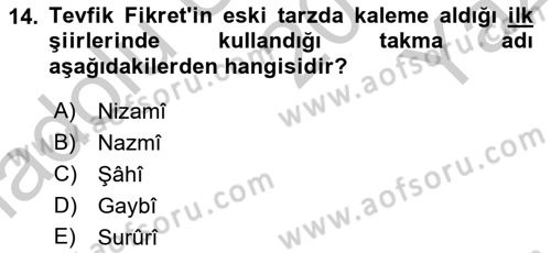 2. Abdülhamit Dönemi Türk Edebiyatı Dersi 2018 - 2019 Yılı Yaz Okulu Sınav Soruları 14. Soru