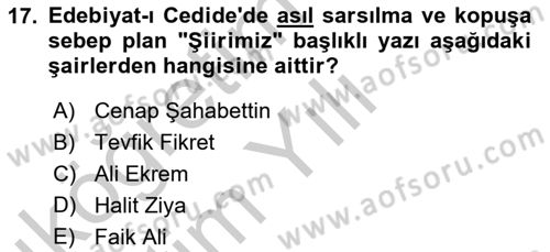 2. Abdülhamit Dönemi Türk Edebiyatı Dersi 2018 - 2019 Yılı Yaz Okulu Sınav Soruları 17. Soru