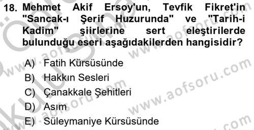 2. Abdülhamit Dönemi Türk Edebiyatı Dersi 2018 - 2019 Yılı Yaz Okulu Sınav Soruları 18. Soru