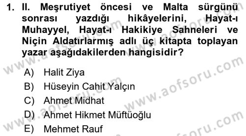 2. Abdülhamit Dönemi Türk Edebiyatı Dersi 2020 - 2021 Yılı Yaz Okulu Sınavı 1. Soru