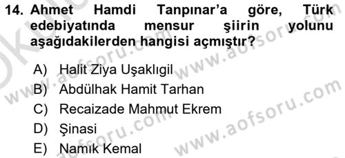 2. Abdülhamit Dönemi Türk Edebiyatı Dersi 2020 - 2021 Yılı Yaz Okulu Sınavı 14. Soru