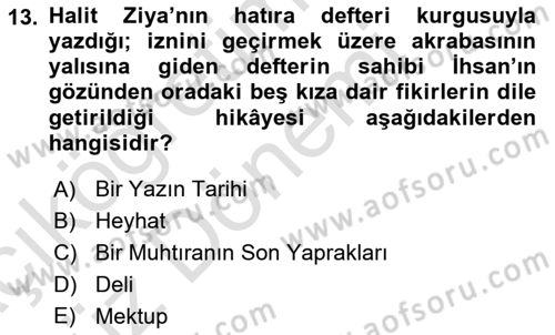 2. Abdülhamit Dönemi Türk Edebiyatı Dersi 2021 - 2022 Yılı (Vize) Ara Sınavı 13. Soru