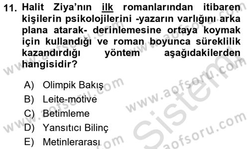 2. Abdülhamit Dönemi Türk Edebiyatı Dersi 2021 - 2022 Yılı Yaz Okulu Sınav Soruları 11. Soru