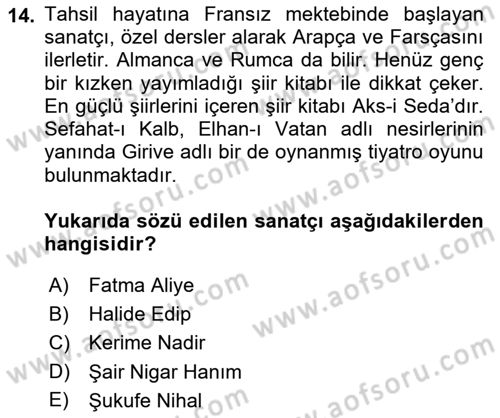 2. Abdülhamit Dönemi Türk Edebiyatı Dersi 2021 - 2022 Yılı Yaz Okulu Sınav Soruları 14. Soru