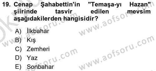 2. Abdülhamit Dönemi Türk Edebiyatı Dersi 2021 - 2022 Yılı Yaz Okulu Sınav Soruları 19. Soru