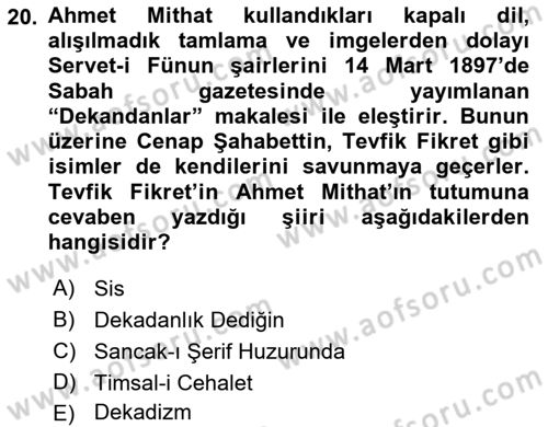 2. Abdülhamit Dönemi Türk Edebiyatı Dersi 2021 - 2022 Yılı Yaz Okulu Sınav Soruları 20. Soru