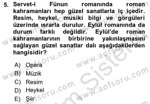 2. Abdülhamit Dönemi Türk Edebiyatı Dersi 2021 - 2022 Yılı Yaz Okulu Sınav Soruları 5. Soru