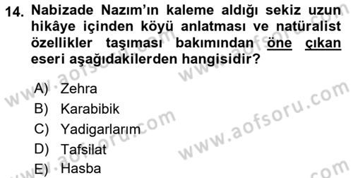 2. Abdülhamit Dönemi Türk Edebiyatı Dersi 2022 - 2023 Yılı (Vize) Ara Sınav Soruları 14. Soru