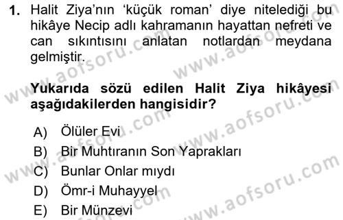2. Abdülhamit Dönemi Türk Edebiyatı Dersi 2022 - 2023 Yılı Yaz Okulu Sınav Soruları 1. Soru