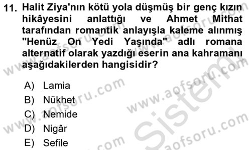 2. Abdülhamit Dönemi Türk Edebiyatı Dersi 2022 - 2023 Yılı Yaz Okulu Sınav Soruları 11. Soru