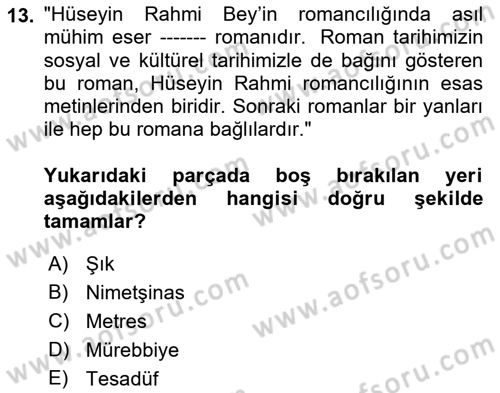 2. Abdülhamit Dönemi Türk Edebiyatı Dersi 2022 - 2023 Yılı Yaz Okulu Sınav Soruları 13. Soru