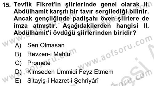 2. Abdülhamit Dönemi Türk Edebiyatı Dersi 2022 - 2023 Yılı Yaz Okulu Sınav Soruları 15. Soru
