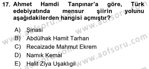 2. Abdülhamit Dönemi Türk Edebiyatı Dersi 2022 - 2023 Yılı Yaz Okulu Sınav Soruları 17. Soru