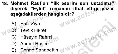 2. Abdülhamit Dönemi Türk Edebiyatı Dersi 2022 - 2023 Yılı Yaz Okulu Sınav Soruları 18. Soru