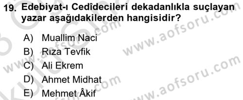 2. Abdülhamit Dönemi Türk Edebiyatı Dersi 2022 - 2023 Yılı Yaz Okulu Sınav Soruları 19. Soru