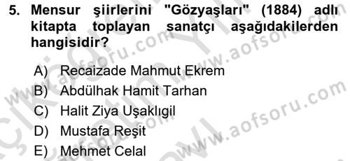 2. Abdülhamit Dönemi Türk Edebiyatı Dersi 2022 - 2023 Yılı Yaz Okulu Sınav Soruları 5. Soru