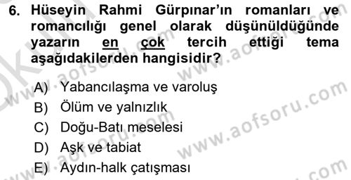 2. Abdülhamit Dönemi Türk Edebiyatı Dersi 2022 - 2023 Yılı Yaz Okulu Sınav Soruları 6. Soru