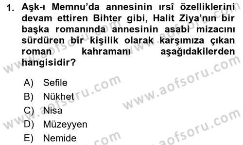 2. Abdülhamit Dönemi Türk Edebiyatı Dersi 2023 - 2024 Yılı (Vize) Ara Sınavı 1. Soru