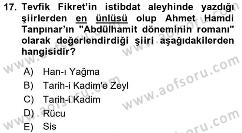 2. Abdülhamit Dönemi Türk Edebiyatı Dersi 2023 - 2024 Yılı (Vize) Ara Sınavı 17. Soru