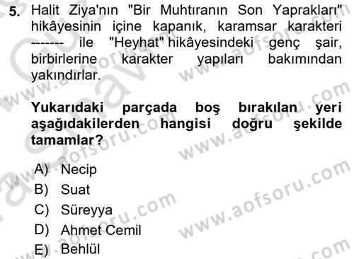 2. Abdülhamit Dönemi Türk Edebiyatı Dersi 2023 - 2024 Yılı (Vize) Ara Sınavı 5. Soru