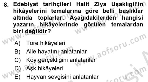 2. Abdülhamit Dönemi Türk Edebiyatı Dersi 2023 - 2024 Yılı (Vize) Ara Sınavı 8. Soru