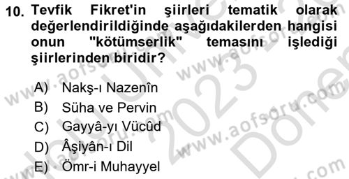 2. Abdülhamit Dönemi Türk Edebiyatı Dersi 2023 - 2024 Yılı (Final) Dönem Sonu Sınav Soruları 10. Soru