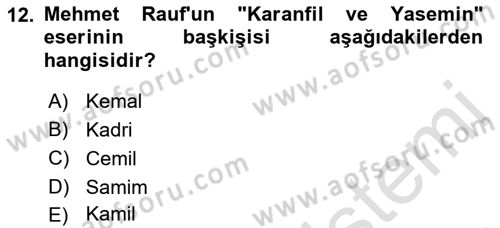 2. Abdülhamit Dönemi Türk Edebiyatı Dersi 2023 - 2024 Yılı (Final) Dönem Sonu Sınav Soruları 12. Soru