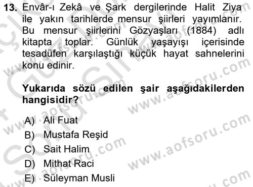 2. Abdülhamit Dönemi Türk Edebiyatı Dersi 2023 - 2024 Yılı (Final) Dönem Sonu Sınav Soruları 13. Soru