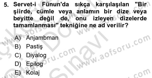 2. Abdülhamit Dönemi Türk Edebiyatı Dersi 2023 - 2024 Yılı (Final) Dönem Sonu Sınav Soruları 5. Soru