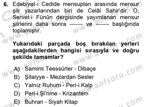 2. Abdülhamit Dönemi Türk Edebiyatı Dersi 2023 - 2024 Yılı (Final) Dönem Sonu Sınav Soruları 6. Soru