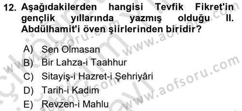 2. Abdülhamit Dönemi Türk Edebiyatı Dersi 2023 - 2024 Yılı Yaz Okulu Sınav Soruları 12. Soru