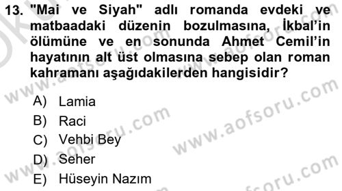 2. Abdülhamit Dönemi Türk Edebiyatı Dersi 2023 - 2024 Yılı Yaz Okulu Sınav Soruları 13. Soru